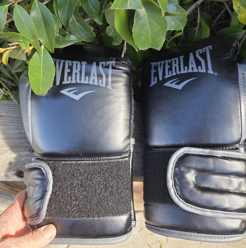 Everlast Powerlock 16oz Boxing Gloves